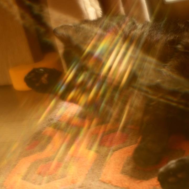 21083daf 9eb9 4b36 a4f8 1a5dba071c6f 1629733058717