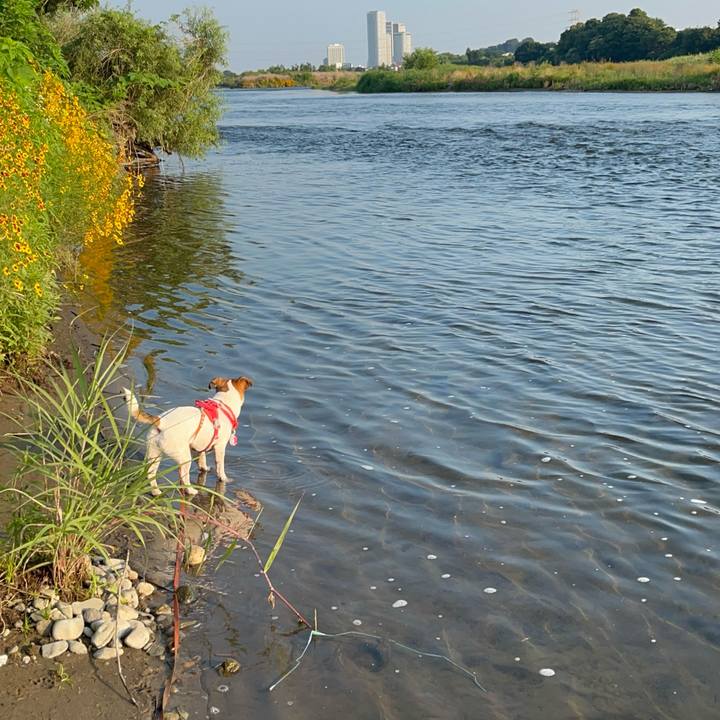 21086052 5e46 418f 9d7f 20d709b7b120 1751201152374