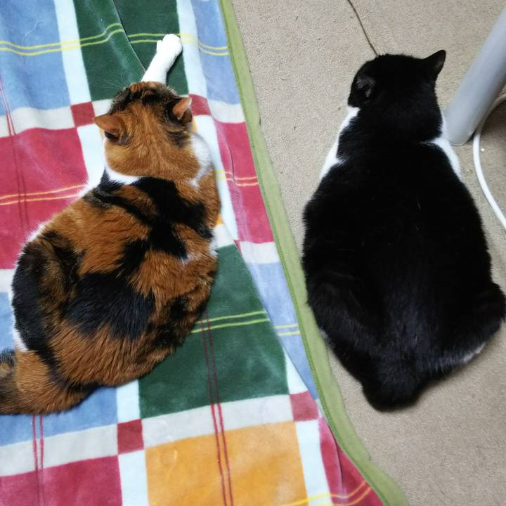 21086f47 b5f3 40a5 a1d9 0b6f62bcc380 1539208045931