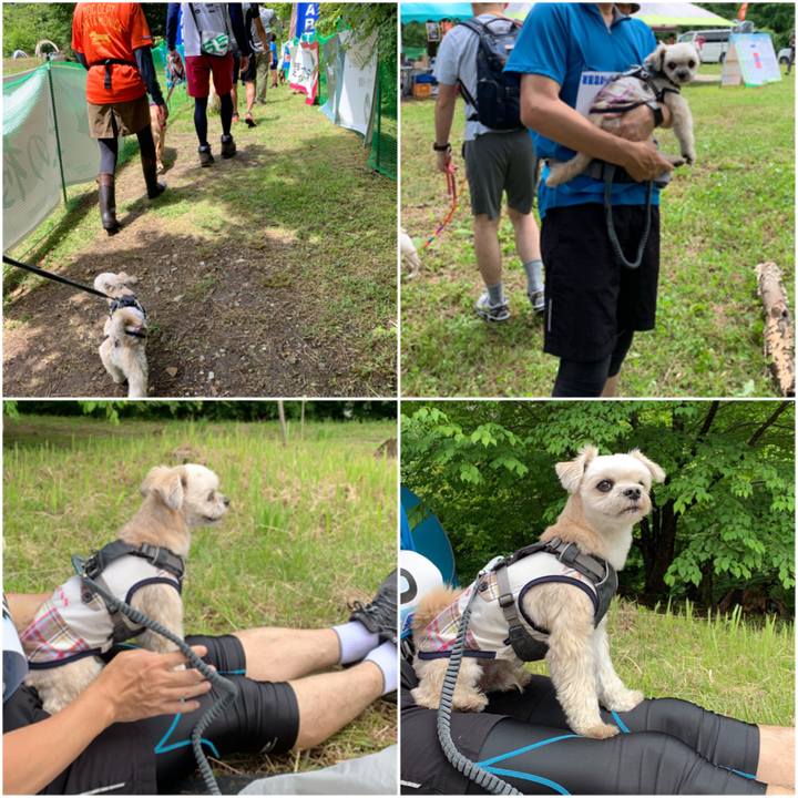 2108769b 7047 4f5b b8cf 3b3ad643a41d 1560729412672