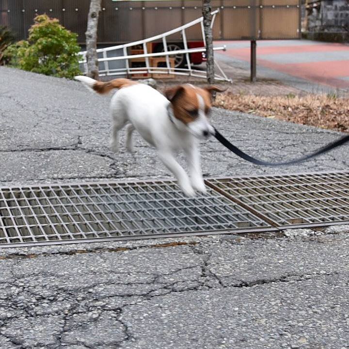 21087bd0 cd08 4db4 b759 04bffb6a0a47 1520254014815