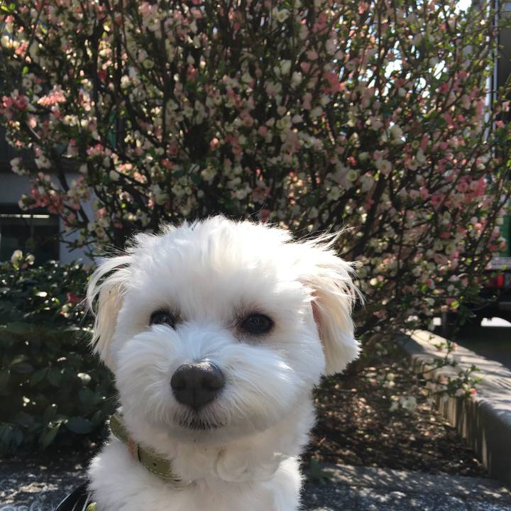 2108adf8 00e0 49d7 b361 c99fa45750e8 1552628609915