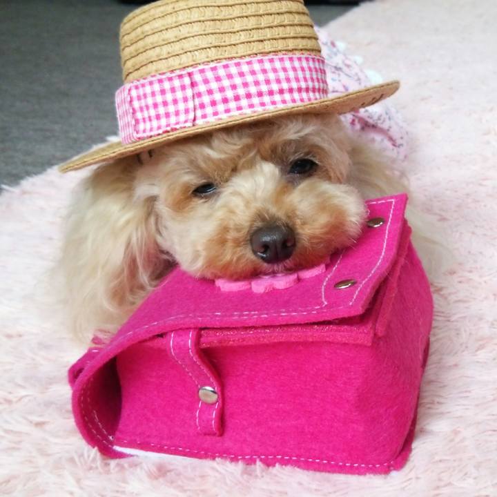 21091845 92d7 4df3 bf9f 759a3bb740fe 1557837227652