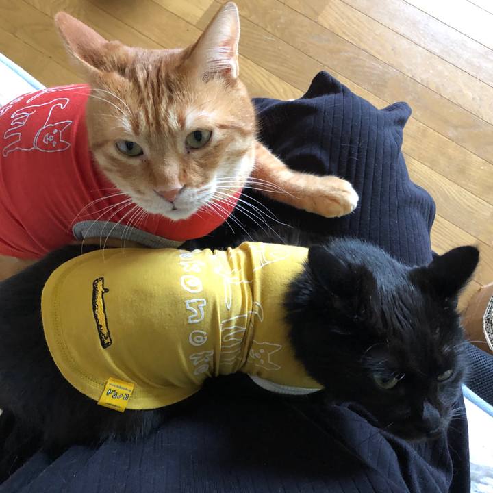 210936fe e32f 4d4c 91c1 fa0e340e9ffc 1592123149201