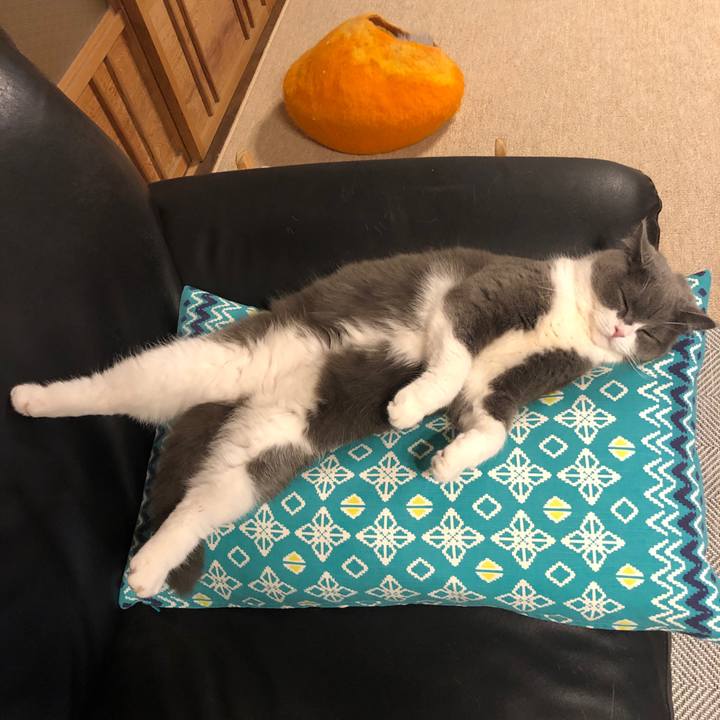 21098587 91d4 4aba afeb 332c0d4654d4 1553989352214