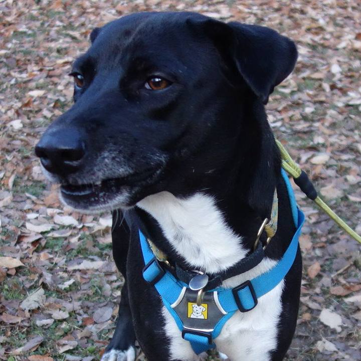 21098be5 4dda 436a 8b98 c5b7dda20ef4 1609978467755