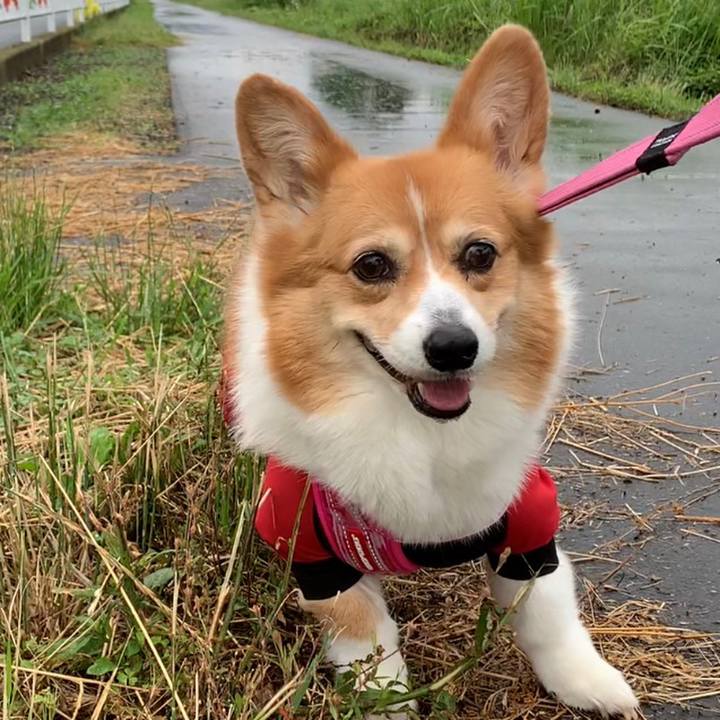 2109a635 c8f8 4239 b335 34a9090d8955 1686464985346