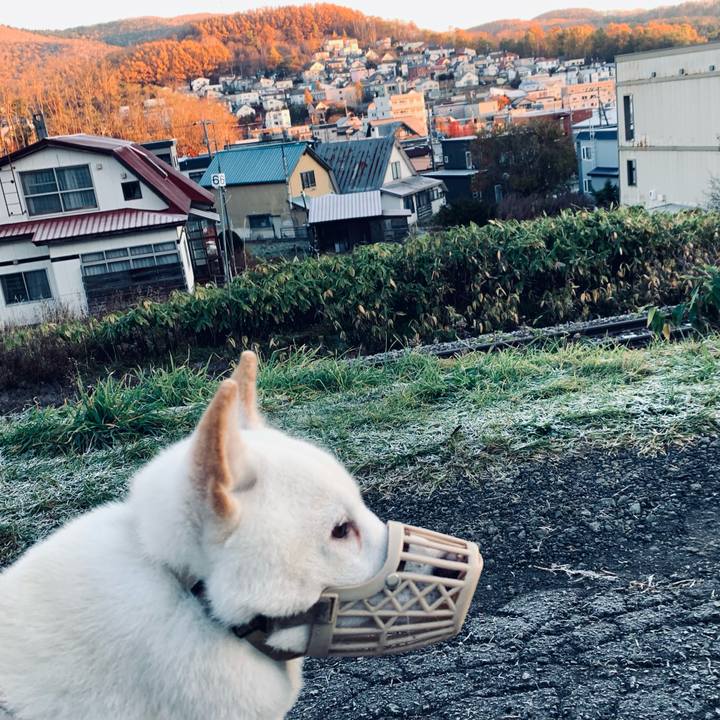 2109bf9e 3906 40e9 91f9 94d07a5cb368 1605507158692