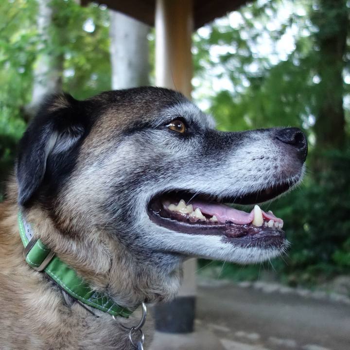 210a2930 39b2 41cc 82bd 0c030dba98ae 1527908679018