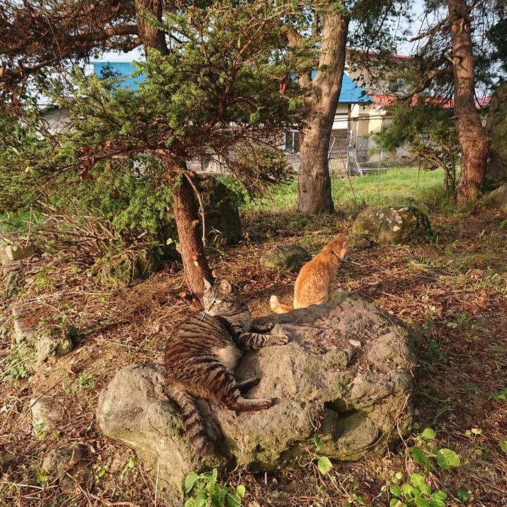 210a3366 76c2 4874 a5ad 52d9e8665042 1659042348401