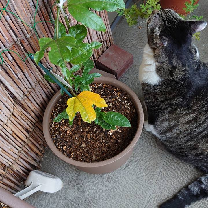 210a7588 cf7f 4837 91a8 e6f20d3c8fdb 1663833743105