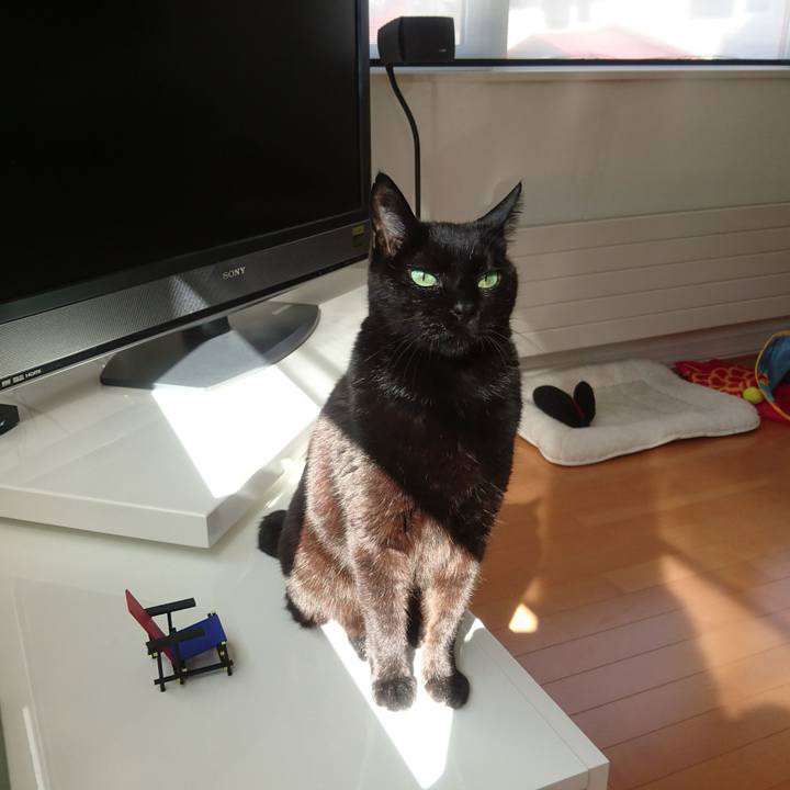 210aa981 764b 4b1f 817a 0b3eb3cb67ed 1521594739973