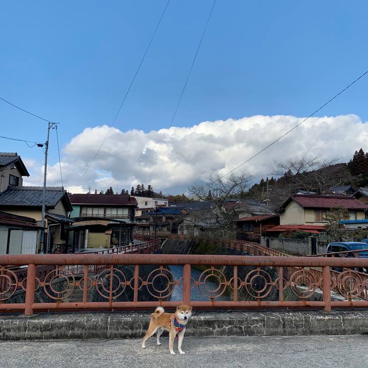 210ab9e6 cc0b 47bf 8441 8741c56cc6b3 1582706818756