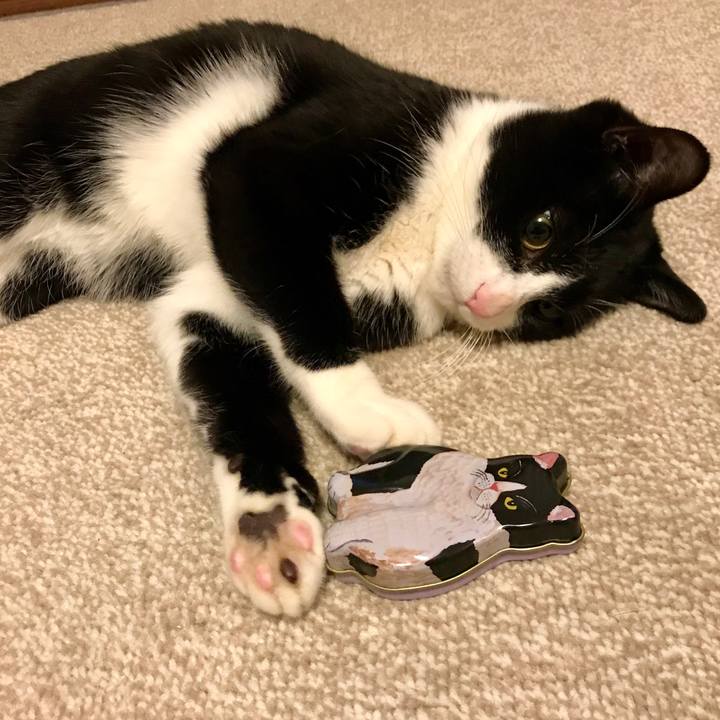 210ac48b dd1f 415e 9060 04e84ca8f34d 1517399823095