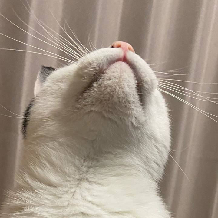 210aef9f 56c2 43c8 9c68 966f2107d079 1587641025155