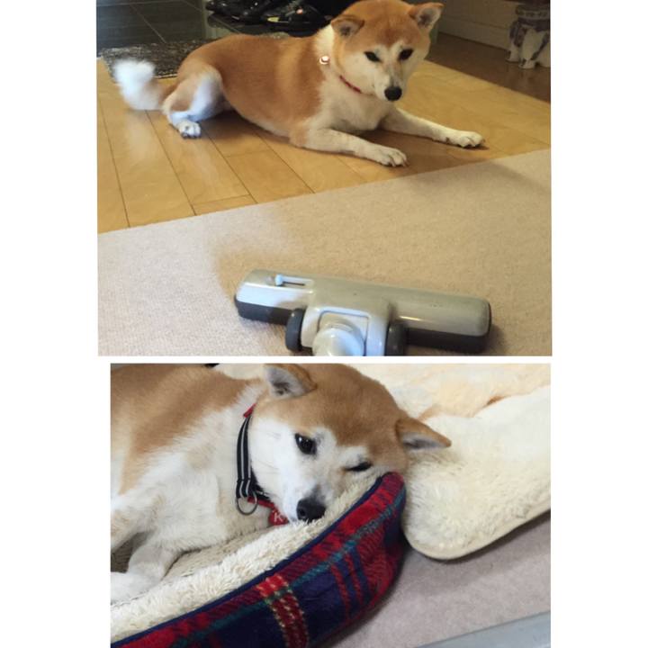 210afdcd 1f34 47f1 915b 79d1b0a5ca31 1515291842891