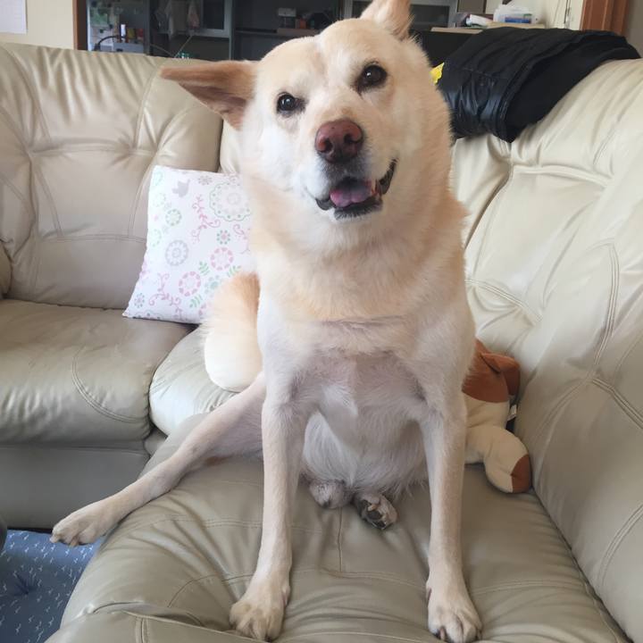 210b12e2 567a 4804 bc79 d3a586eba674 1522812936554