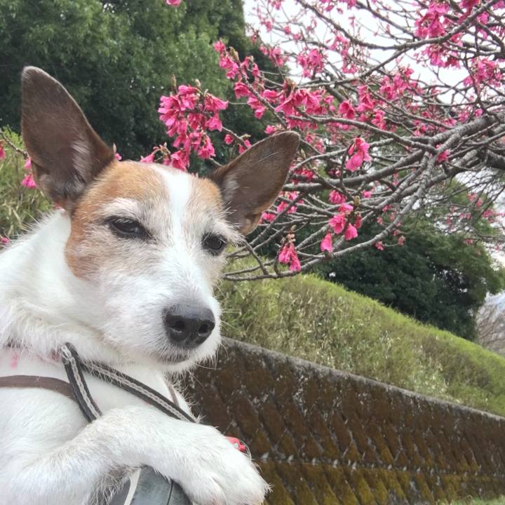 210b2a05 05d5 4994 b93d 09b080a26b7c 1647823433195