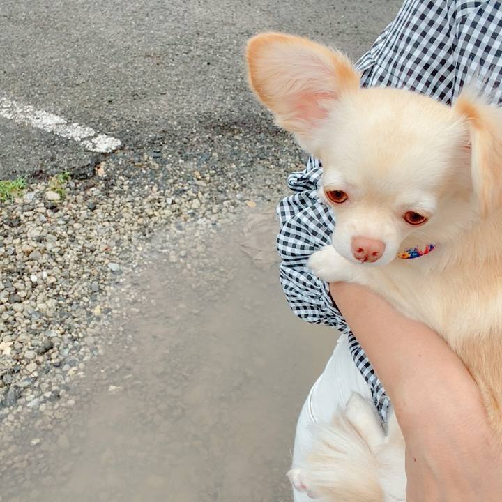 210b367b fef3 4d71 b86a f446d24f5c13 1630651575539