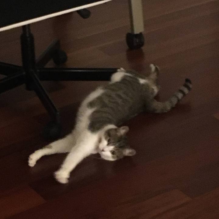 210b3b5a 193e 4ab4 8164 0ef79d407060 1693529720279