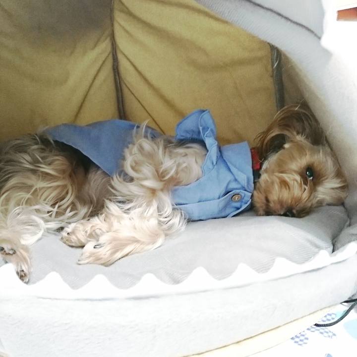 210b9f33 2dfa 47d8 af49 1b70b050b102 1536371141065