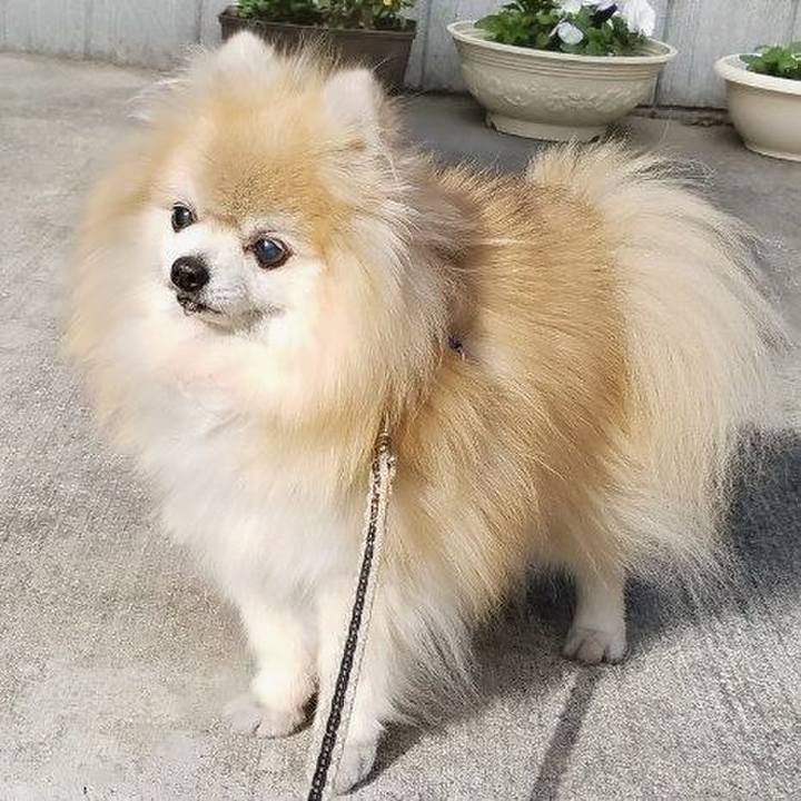 210bf727 2b75 4bcd 81b3 94540bebb091 1773114241424