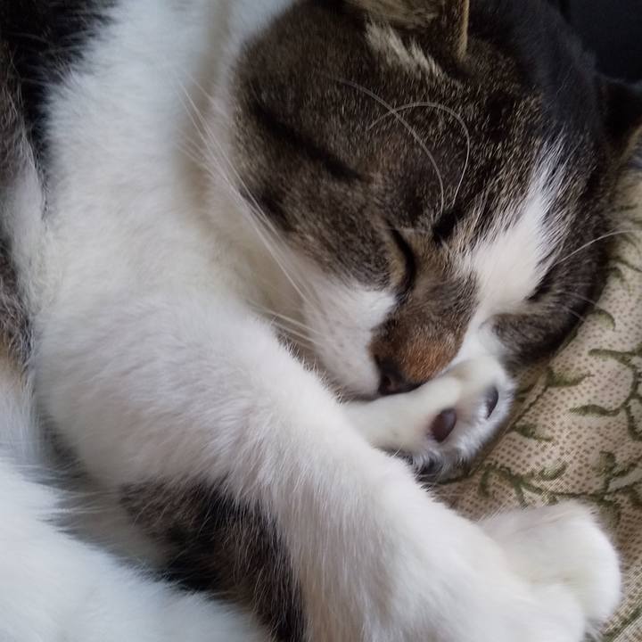 210c15ea 7bcc 4ba8 81ce c3de7abdd34f 1664843570939