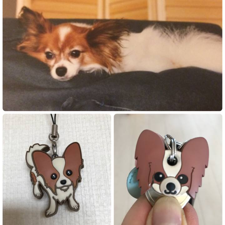 210c35a2 e812 423d 8ff7 61e87fbb74c6 1525589765606