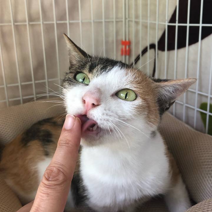 210c368c e3ee 4a98 8fd6 3a41ad2390b9 1571807822108