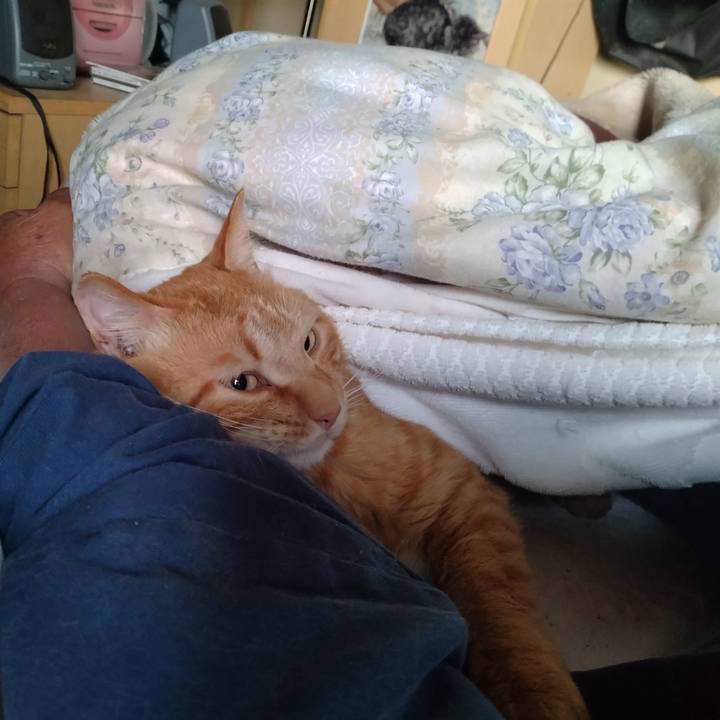 210c3bd7 d1ad 4cf2 902f 59ea25f68884 1715983735479