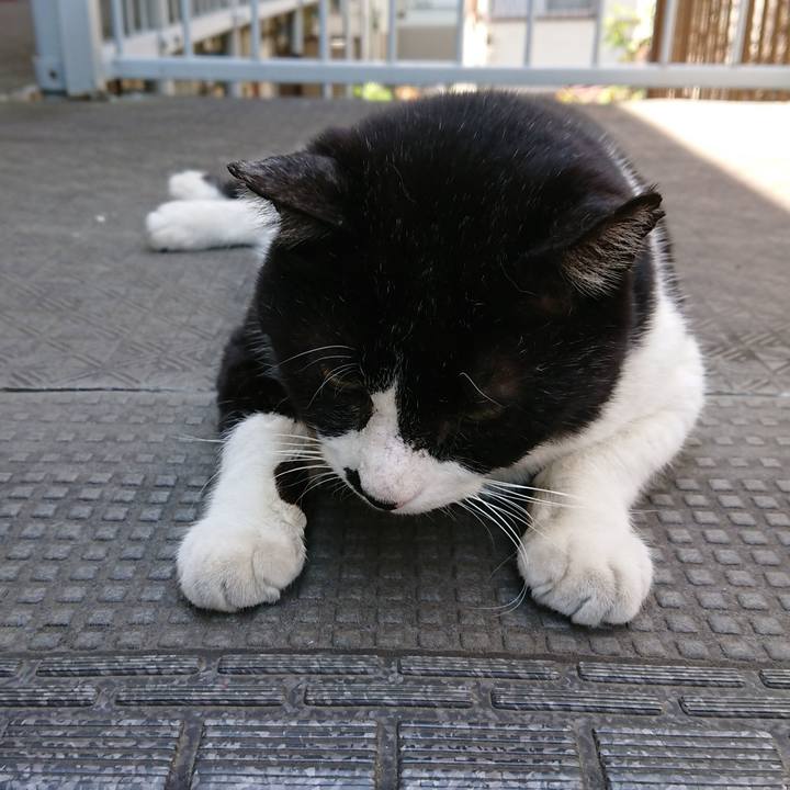 210c563e 8621 4f9e b94f 0f3886389d3b 1557545916305