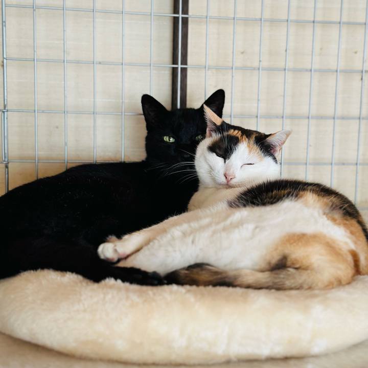 210c93c1 08cc 4618 b086 67fb9b4fb7a9 1676512501585