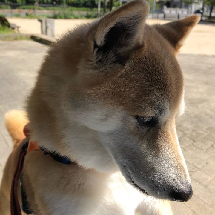 210cafe3 84f9 4bf8 a7c8 4c4dd7d46df3 1601610219835