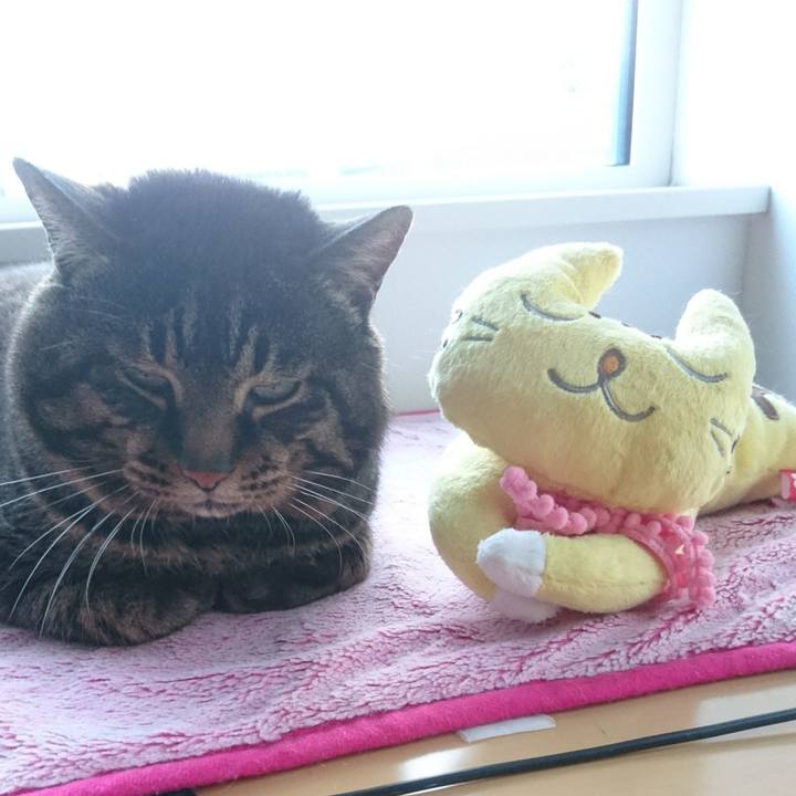 210cc98e aed2 4407 8336 0a89ed842b03 1519290635870