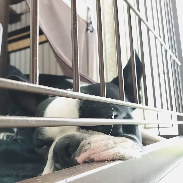 210ced97 500d 477f b762 030c3c3c4f89 1526514469650