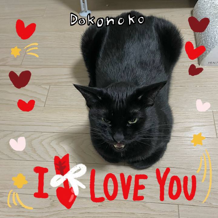 210cf5a6 65b2 4e13 a2b6 16534f39d98e 1707041905898