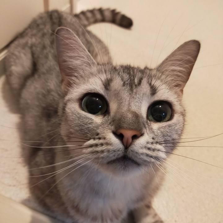 210cf668 d520 4a64 b8fe 8e902329596c 1594254332185