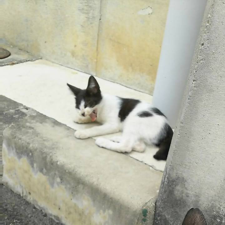 210cfc35 c637 4bb8 b18c 316181cfe843 1530362297339