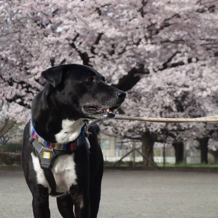 210cfd04 05dd 4585 8f0c f41098dc86d3 1648688670088