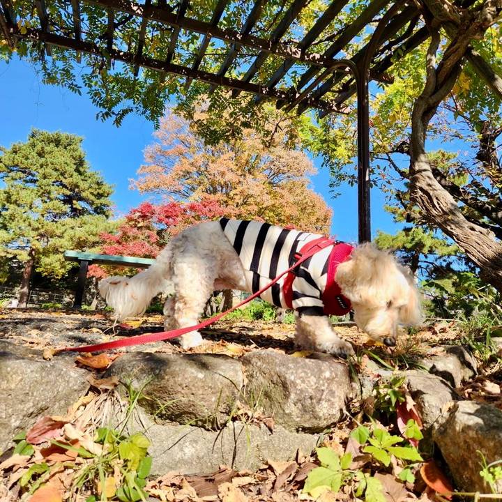 210d1559 4f1a 481a 91c1 916c35af37fc 1763783016453