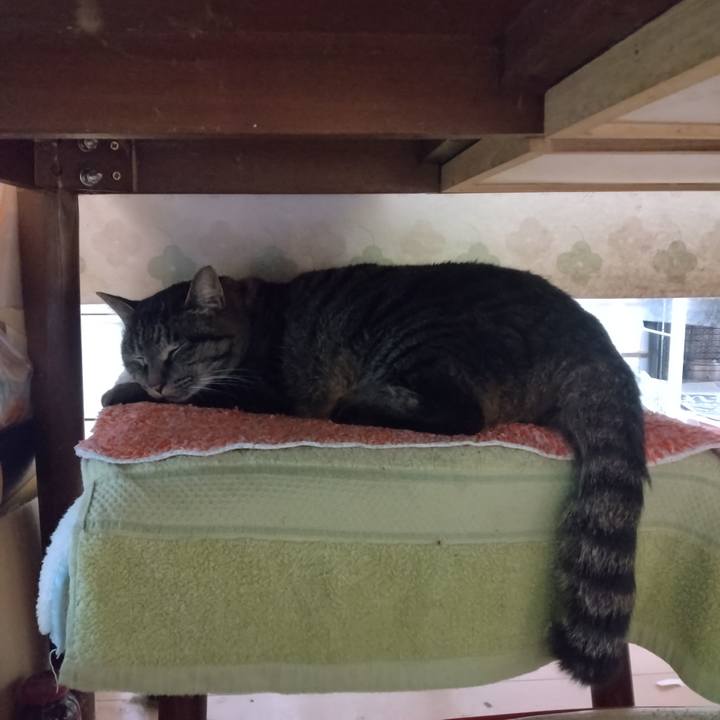 210d2af0 2703 4e12 94bc 6b42f10cb728 1704326169691