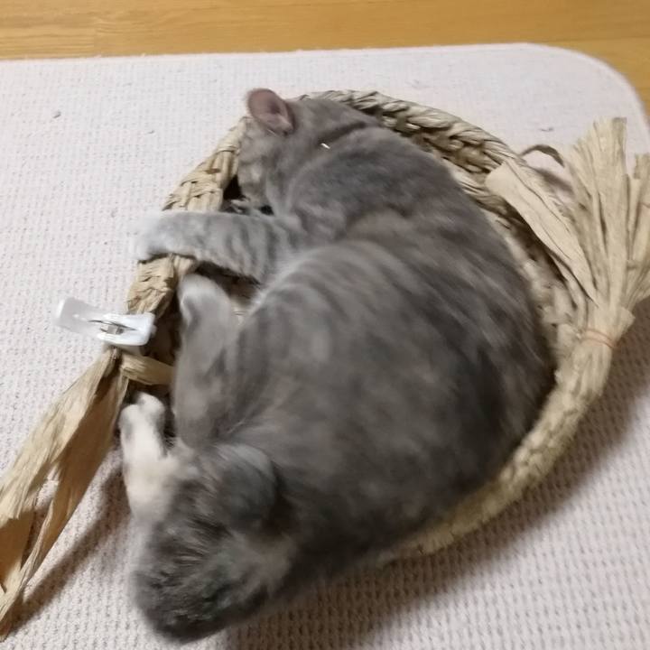 210d2b55 e6a1 44bd adaa 6fba05874a4c 1524055863734