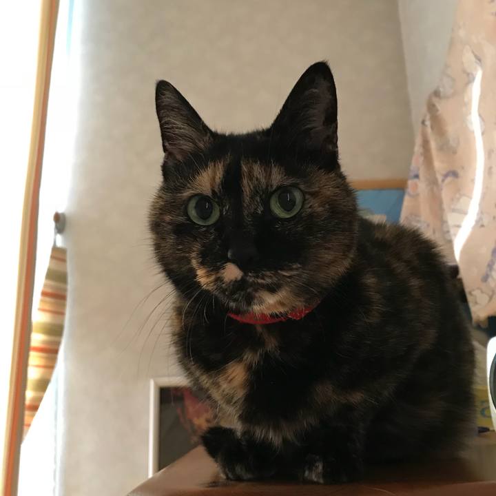 210d2b64 08a7 4df4 9cd0 15cfaac5d1e3 1522623349600