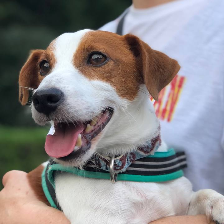 210d5c5a b7bd 41d3 9225 94934939933b 1627343668331