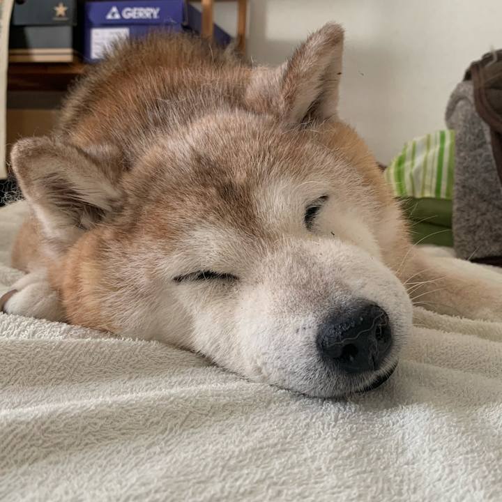 210d6ac8 1127 47b3 b5ab 3067f2c0847a 1691018629823