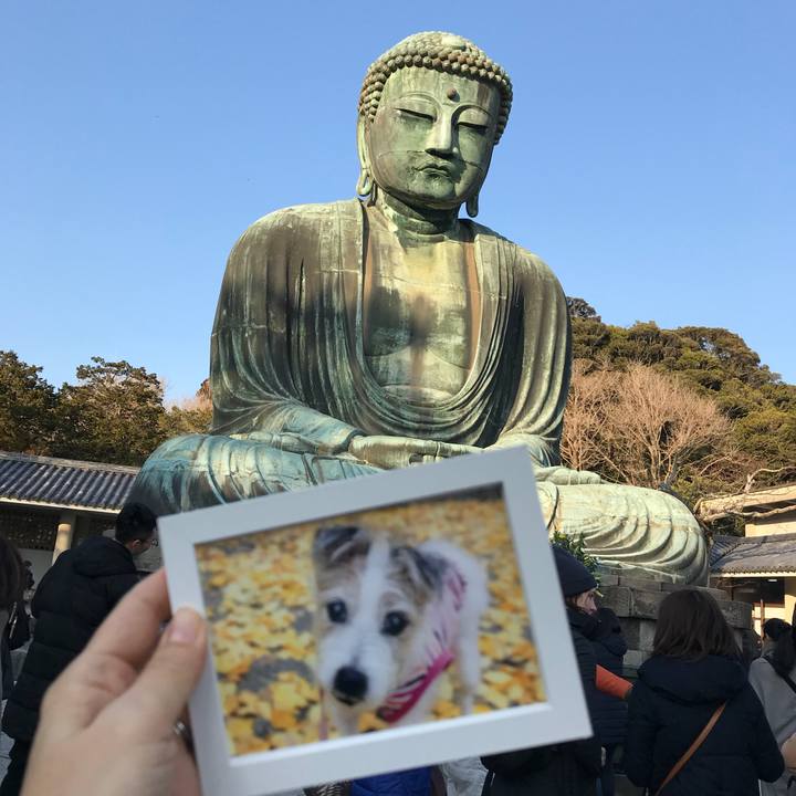 210d86b2 1c7c 4380 990a 0481bddadfd2 1516574370843