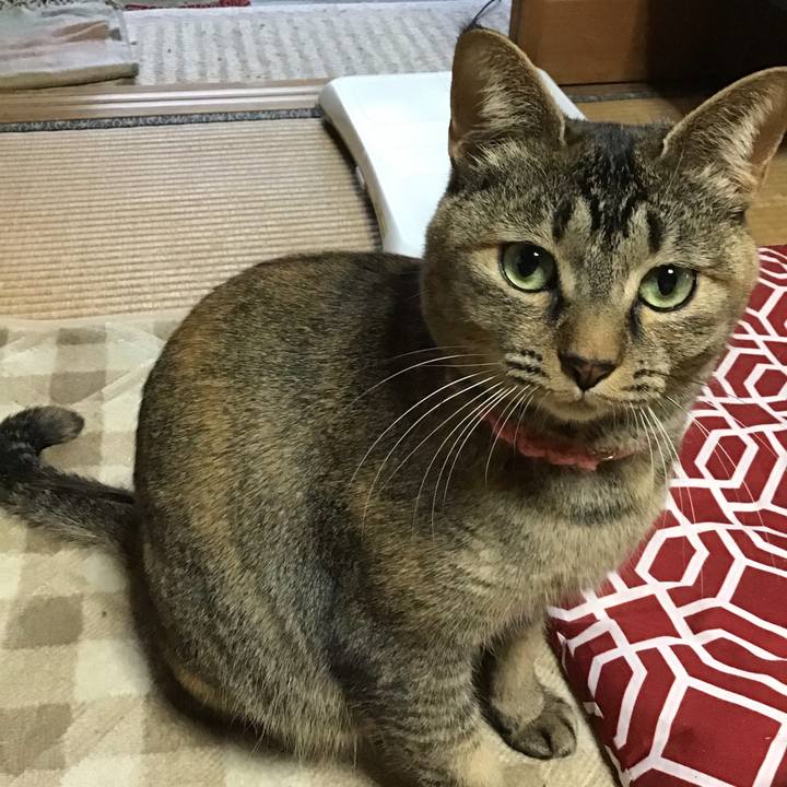 210d9dab 1e93 42bf aec1 79a1fb48bf56 1615105530706