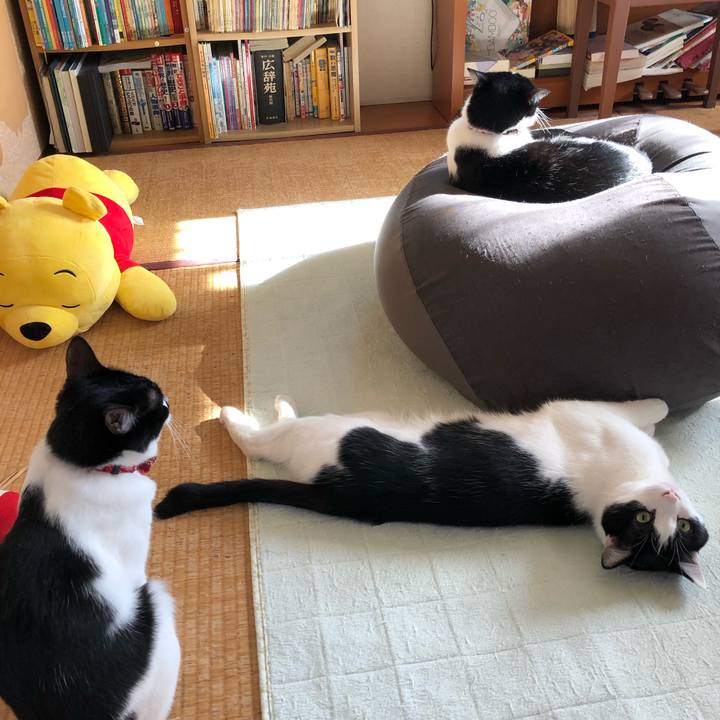 210dd816 76e1 462e b6a0 7db329b41339 1558754632327