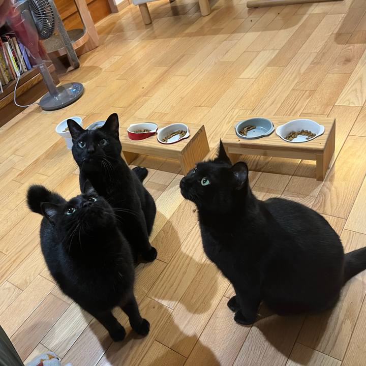 210df2c4 c161 4baf a5aa caef150c2511 1726019921522