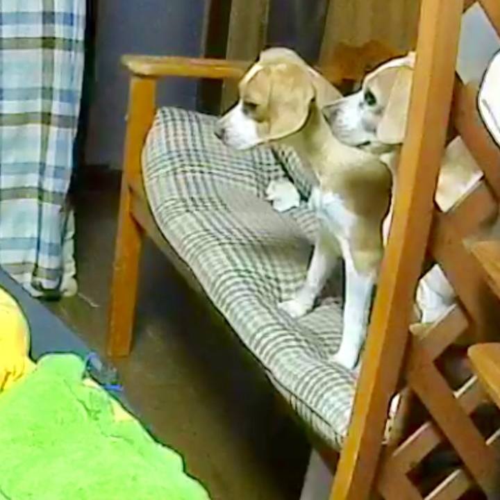 210e08a9 98ff 4e99 98ac 8752a7d9bdc1 1523701318528